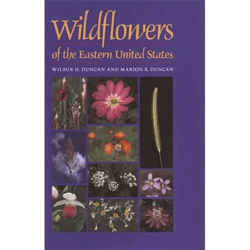 Wildflowers of the Eastern United States - Paperback