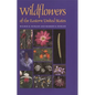 Wildflowers of the Eastern United States - Paperback