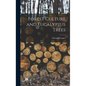 Forest Culture and Eucalyptus Trees - Hardcover