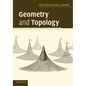 Geometry and Topology - Paperback
