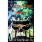 The Christian Witch - Paperback