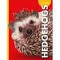Curious about Hedgehogs - Library Binding