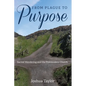 From Plague to Purpose: Sacred Wandering and the Postmodern Church - Hardcover