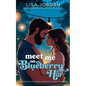 Meet Me on Blueberry Hill - Paperback