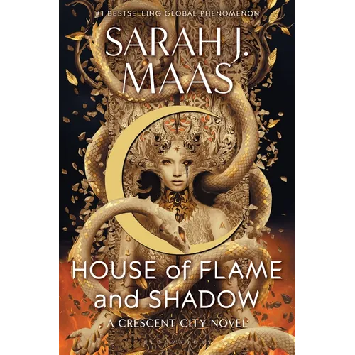 House of Flame and Shadow - Paperback