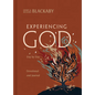 Experiencing God Day-By-Day: A Devotional and Journal - Hardcover