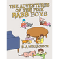 The Adventures of the Five Rabb Boys - Paperback