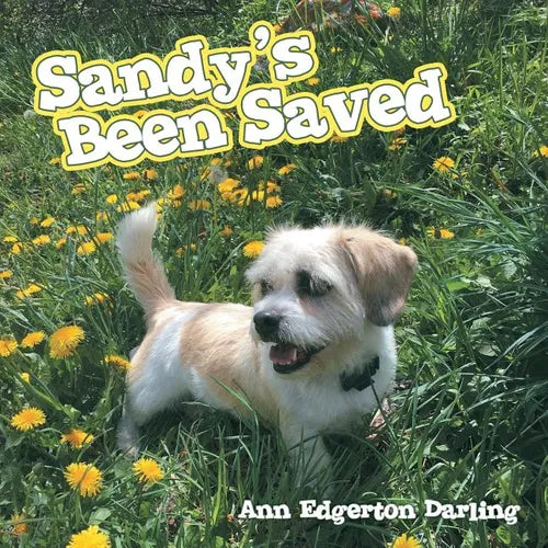 Sandy's Been Saved - Paperback