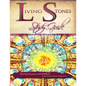 Living Stones Study Guide: Your Journey Into Habitation with the Living God - Paperback