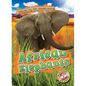 African Elephants - Library Binding