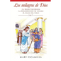 Los Milagros De Dios: -La Mujer Encorvada -La Resurrección De Lázaro -El Maná Del Cielo - Paperback
