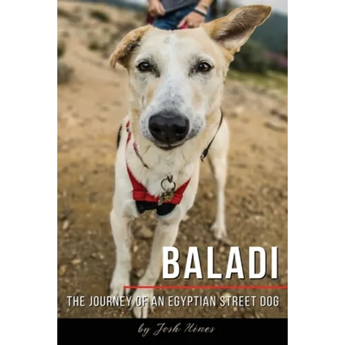Baladi: The Journey of an Egyptian Street Dog - Paperback