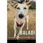 Baladi: The Journey of an Egyptian Street Dog - Paperback