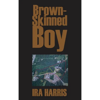 Brown-Skinned Boy - Hardcover