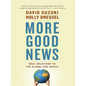 More Good News: Real Solutions to the Global Eco-Crisis - Paperback