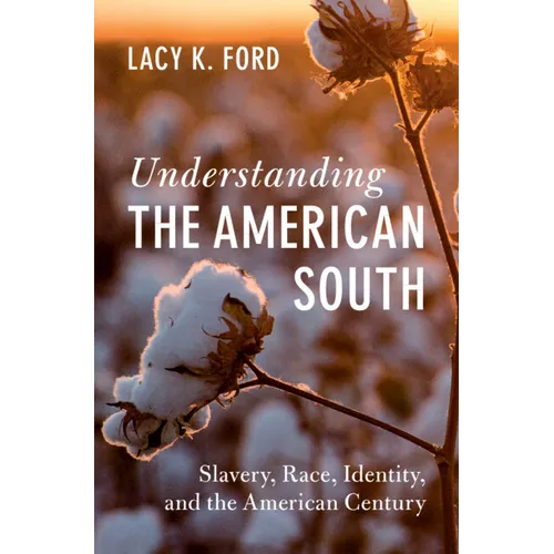 Understanding the American South - Paperback