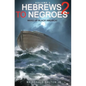Hebrews to Negroes 2 Volume 3: Wake Up Black America - Hardcover