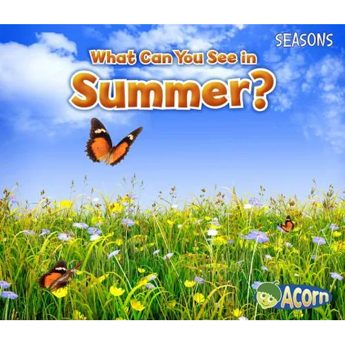 What Can You See in Summer? - Paperback