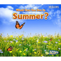 What Can You See in Summer? - Paperback
