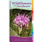 Wildflowers of the Northeast: Your Way to Easily Identify Wildflowers - Spiral
