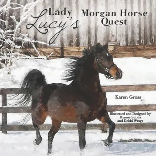 Lady Lucy's Morgan Horse Quest - Paperback