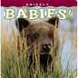 Grizzly Babies! - Board Book