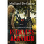 Reckless Abandon - Paperback