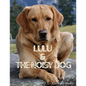 Lulu & The Noisy Dog - Paperback