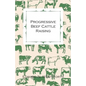 Progressive Beef Cattle Raising - Paperback