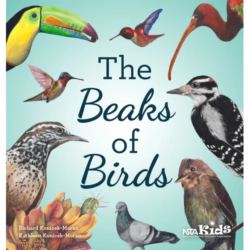The Beaks of Birds - Paperback