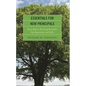 Essentials for New Principals: Seven Steps to Becoming Successful, Key Expectations and Skills - Paperback