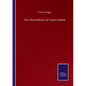 The Hunchback of Notre-Dame - Paperback
