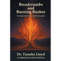 Breadcrumbs and Burning Bushes: Tracing God's Clues and Encounters - Paperback