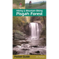 Hiking & Mountain Biking Pisgah Forest - Paperback