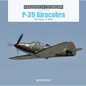 P-39 Airacobra: Bell Fighter in World War II - Hardcover