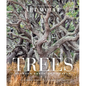 Trees (Gift Edition): Between Earth and Heaven - Hardcover