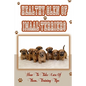 Healthy Glen of Imaal Terriers: How To Take Care Of Them, Training Tips: Treatment For Glen Of Imaal Terriers - Paperback