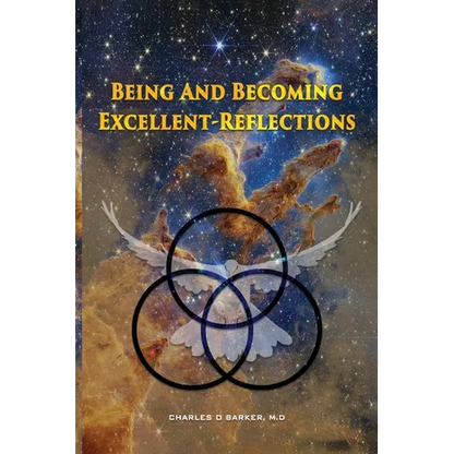 Being And Becoming Excellent: Reflections - Paperback