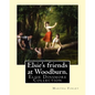 Elsie's friends at Woodburn. By: Martha Finley: Elsie Dinsmore Collection - Paperback