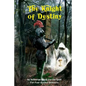 The Knight of Destiny: An Arthurian Quest for the Grail for Four Against Darkness - Paperback