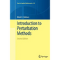 Introduction to Perturbation Methods - Paperback