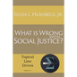What Is Wrong with Social Justice - Paperback