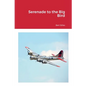 Serenade to the Big Bird - Paperback