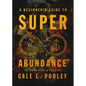 A Beginner's Guide to Superabundance: The New Economics of Time Prices - Paperback