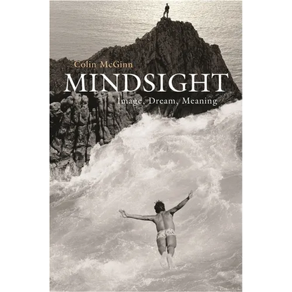 Mindsight: Image, Dream, Meaning - Paperback