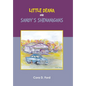 Little Deana and Sandy's Shenanigans - Hardcover