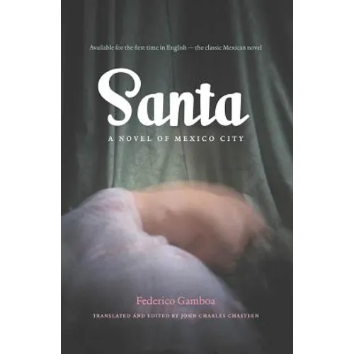 Santa: A Novel of Mexico City - Paperback