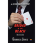 Bridge at the Beach - Hardcover