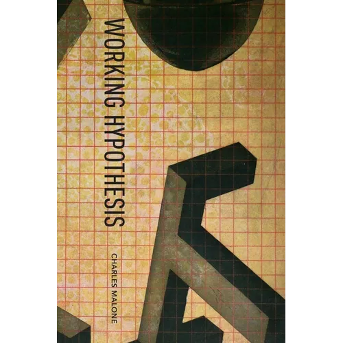 Working Hypothesis - Paperback