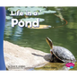 Life in a Pond - Paperback